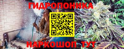 крисы Гуково